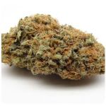 Шишки AK47  (Гидропоника, Бошка) VHQ в Коврове